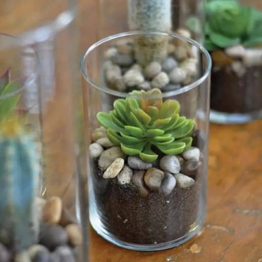 Cylinder Vase