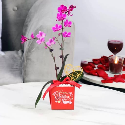 Square Vase (Valentines Day)