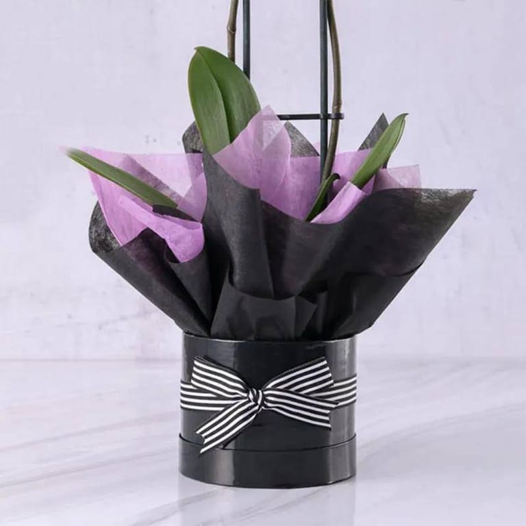 Double Stem Purple Orchid - Image 2