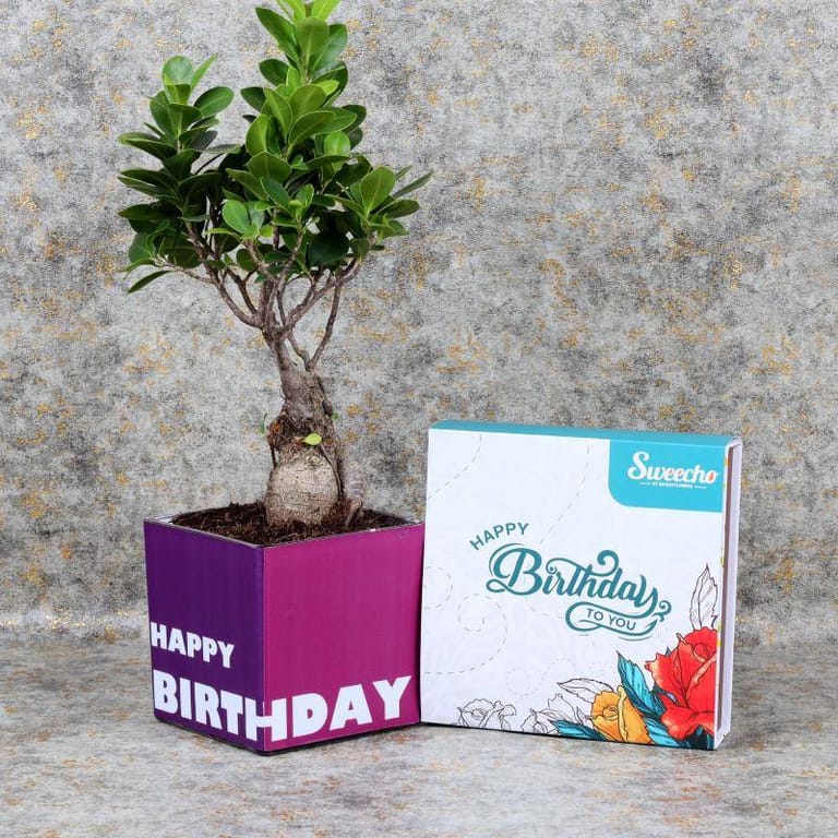Birthday Bonsai Chocos - Image 1