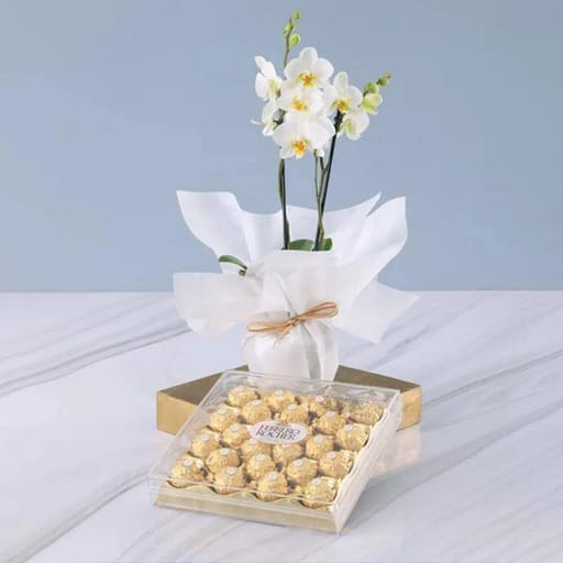 White Orchid & Ferrero Rocher