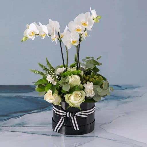 Thought Plants & Flowers