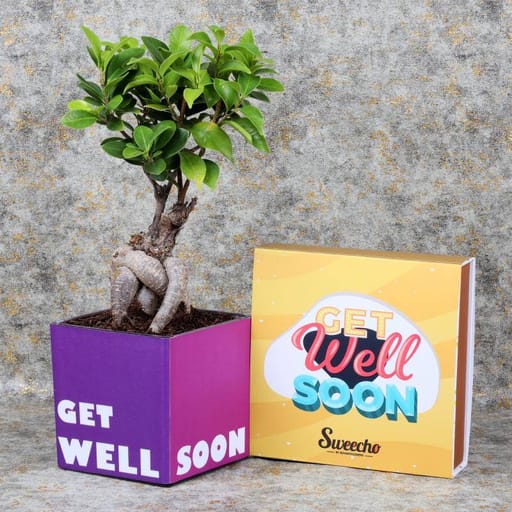 Get Well Soon