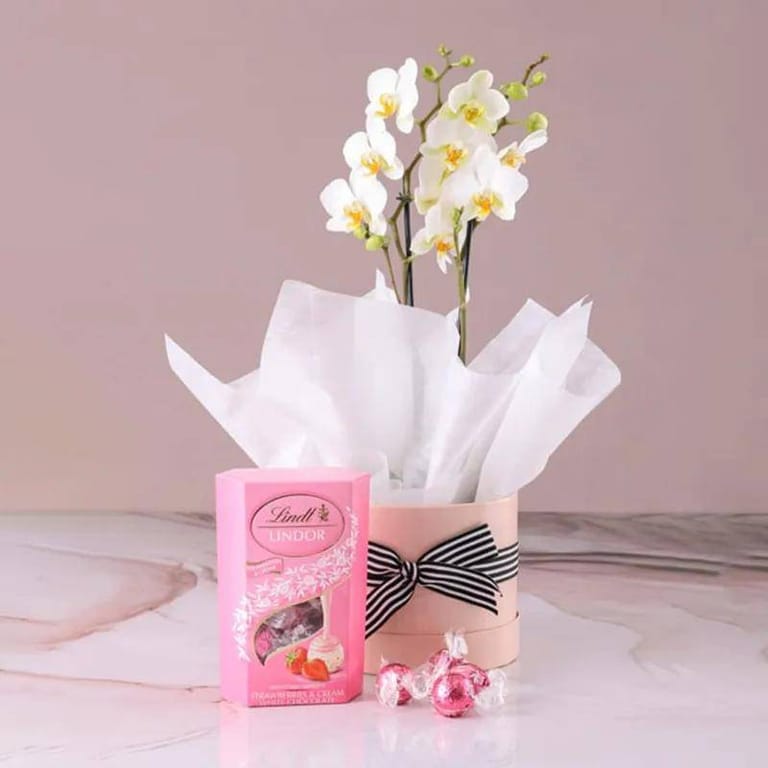 White Orchid & Lindt Truffles - Image 1