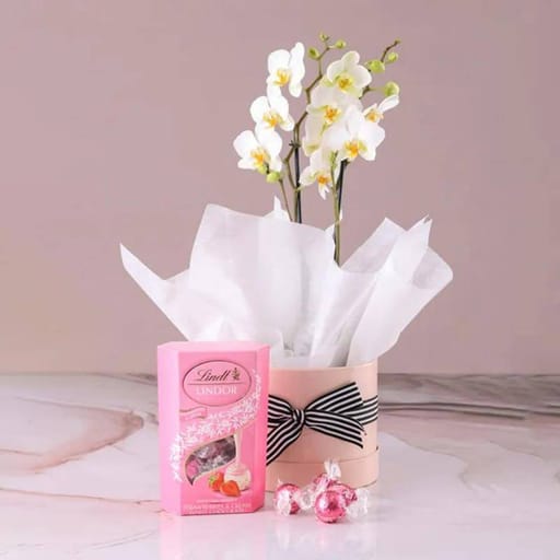White Orchid & Lindt Truffles