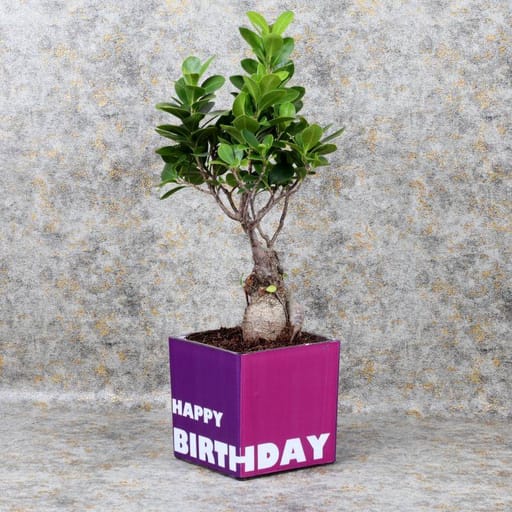Birthday