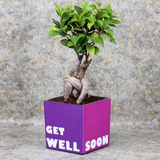 Get Well