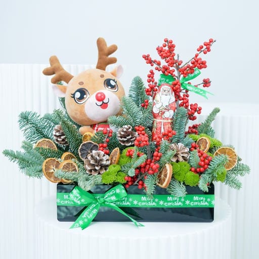Safari Christmas