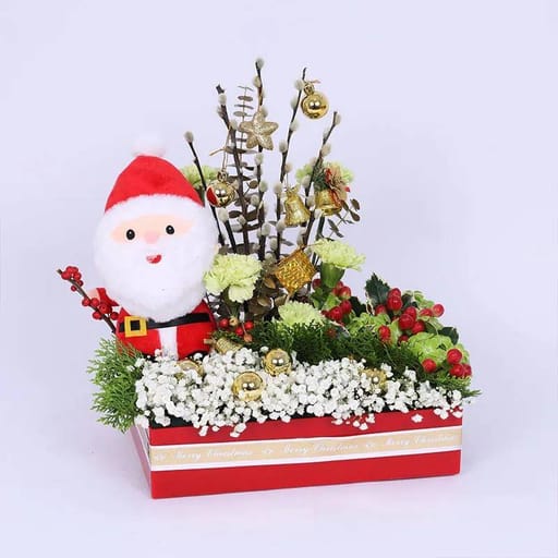 Santas Wishes