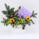Photo 6544