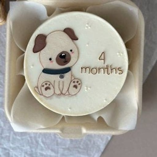 4 Month Babe