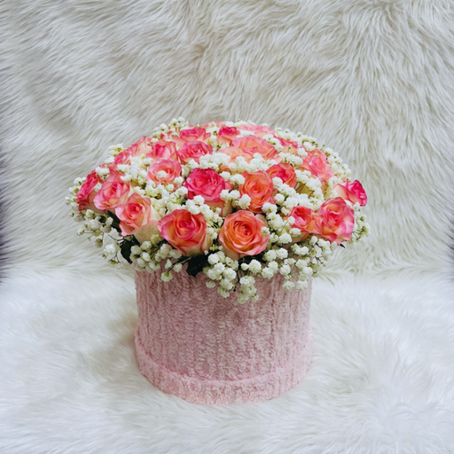 50 Pink Roses in Luxury Velvet Box