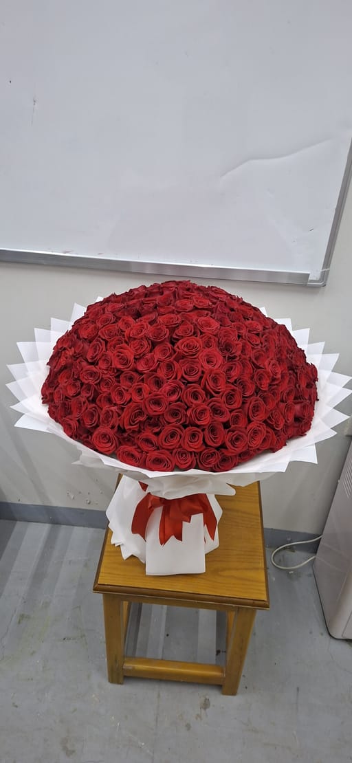Freedom Red Roses