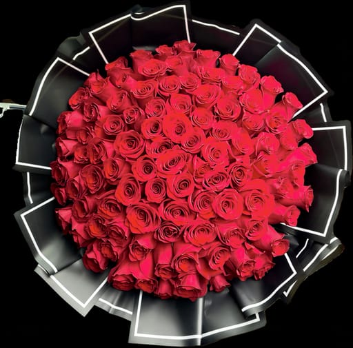 Red Roses 101