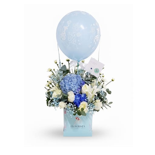 Baby Boy Box