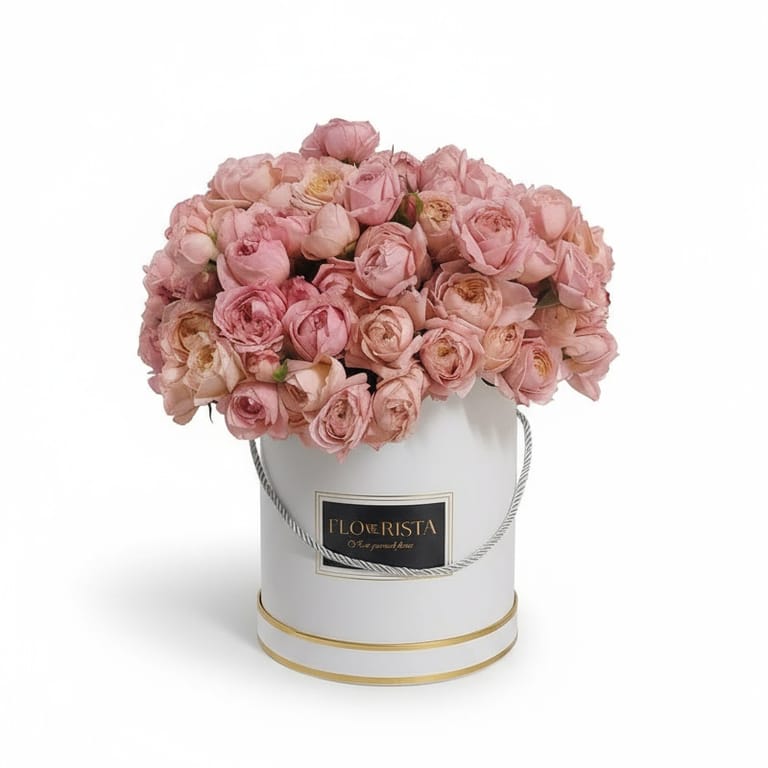 Julietta Box - Image 1
