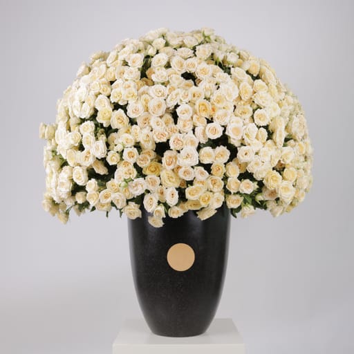 The Ivory Cascade