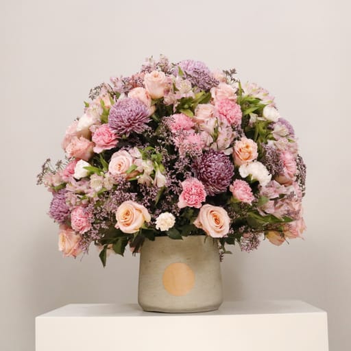 Gardenia V