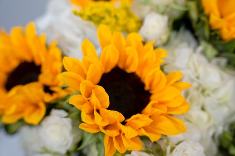 Island Blooms - Image 5