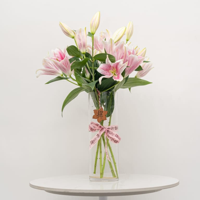The Hope - Image 1