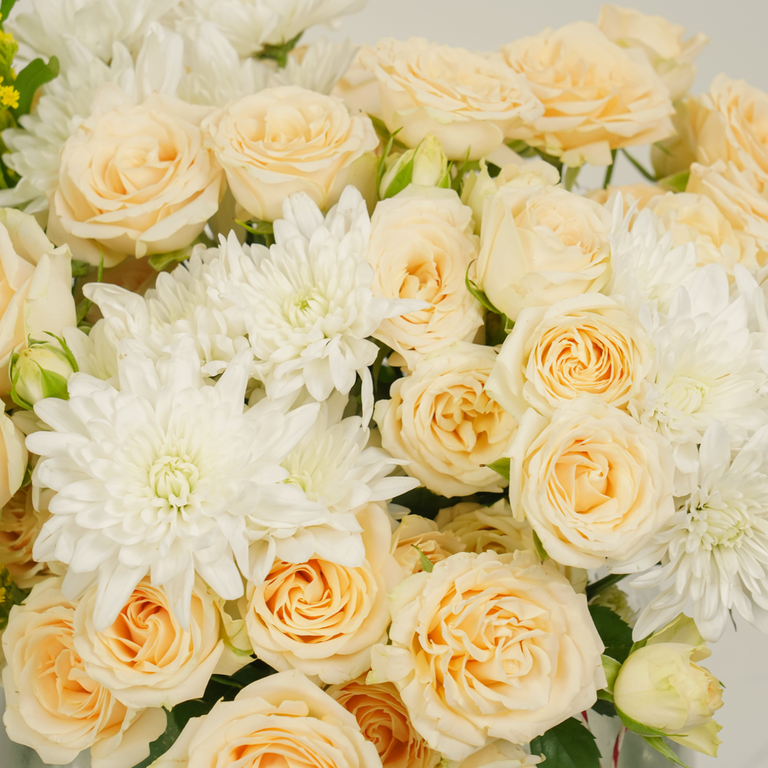 Peach Harmony - Image 4