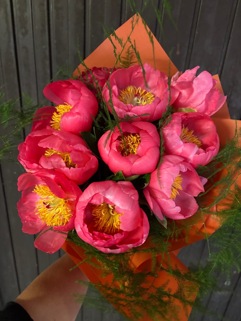 Peonie Coral