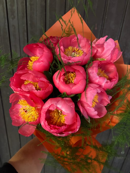 Peonie Coral