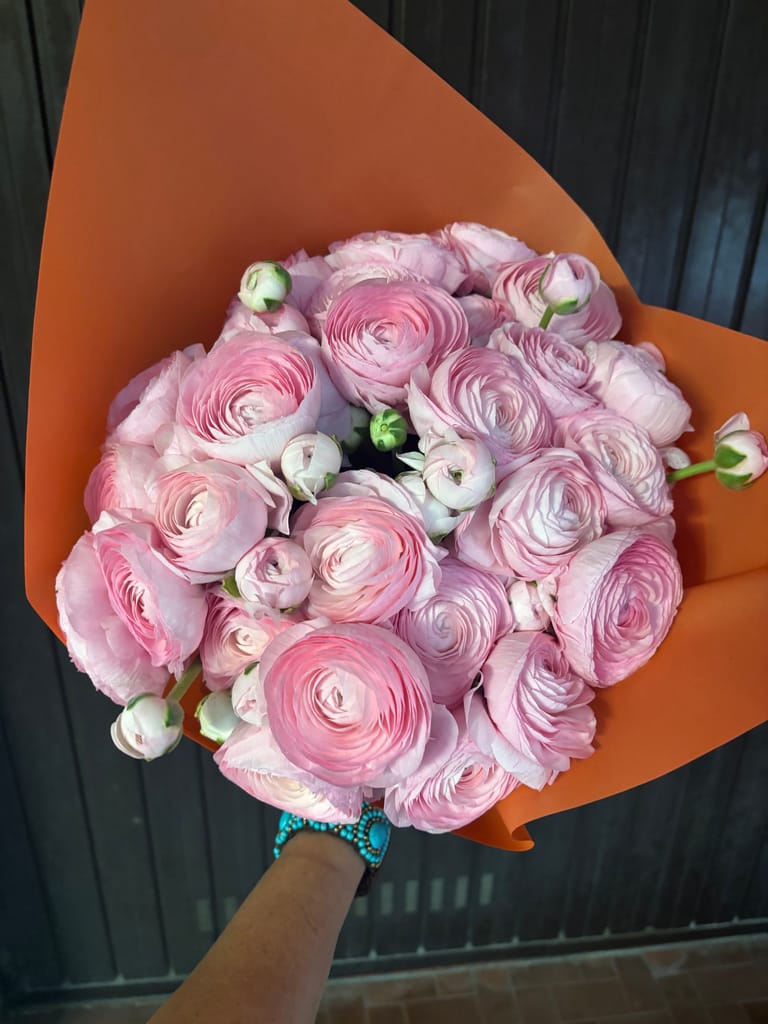 Ranunculus Pink