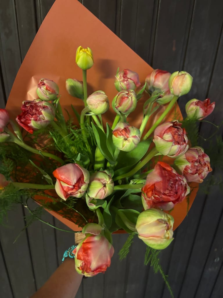 Tulips Double Petals 
