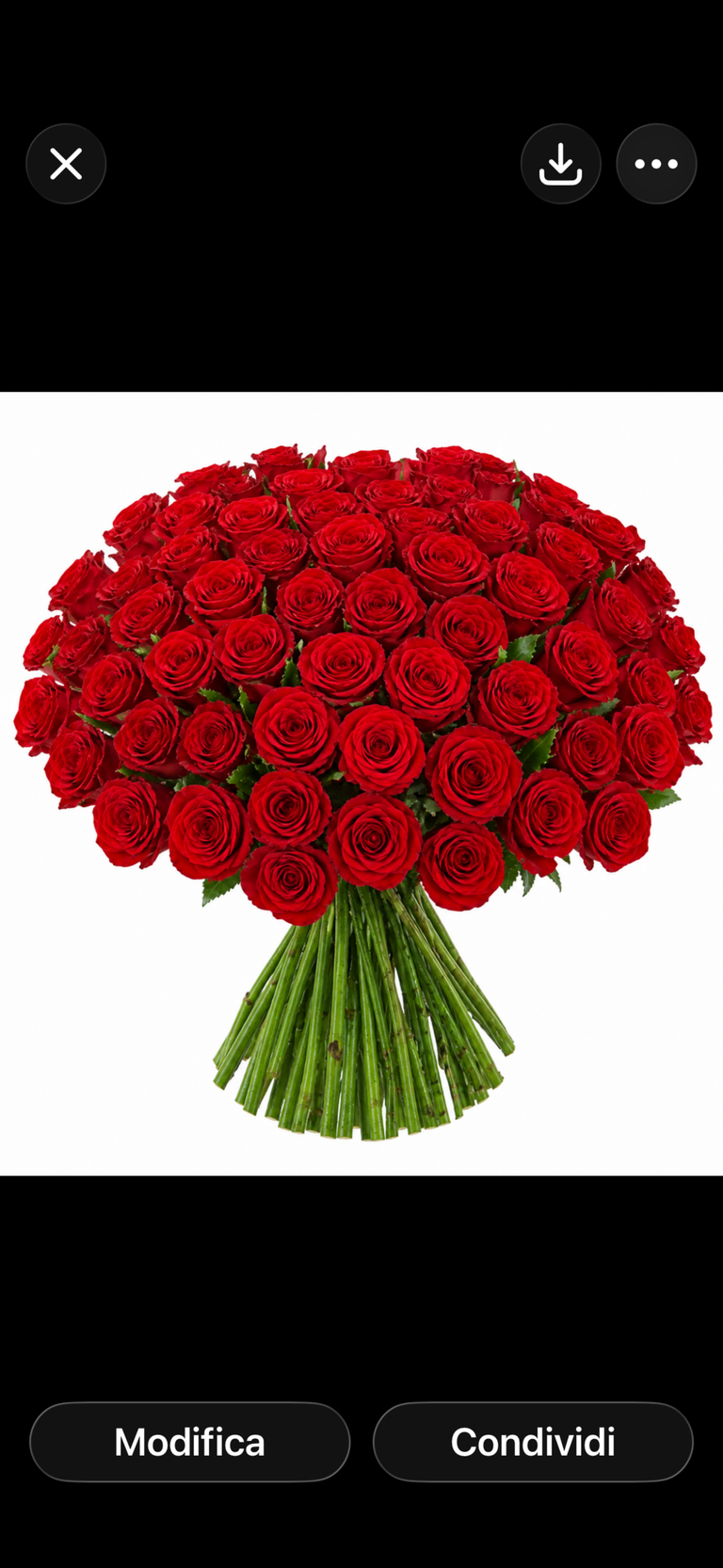 Red Roses 50 Stems M Size