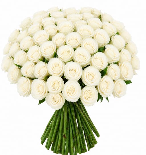 White Roses