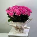 Photo 23034