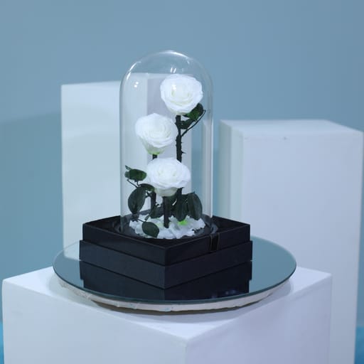 White Trio Forever Rose