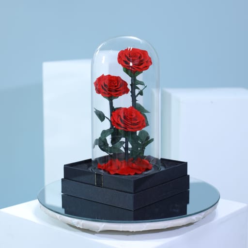 Red Trio Forever Rose