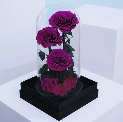 Purple Trio Forever Rose