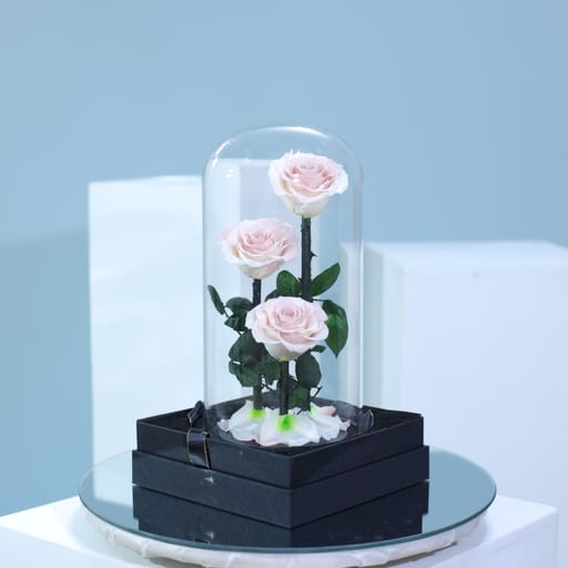 Blush Peach Trio Forever Rose Dome