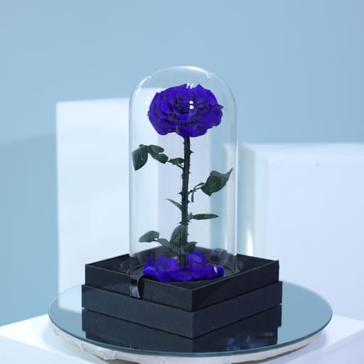 Single Dark Blue Forever Rose