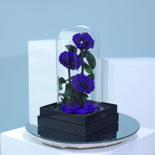 Blue Trio Forever Rose