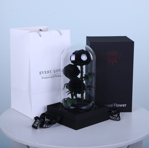 Premium Black Trio Preserved Rose Dome
