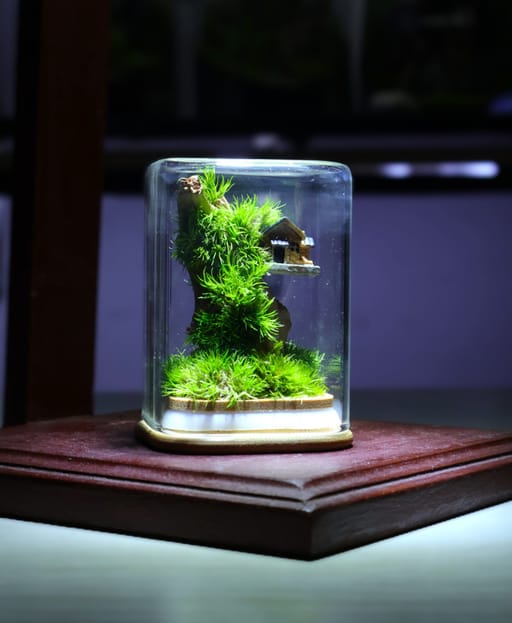 Mini Upside Down Zero Terrarium