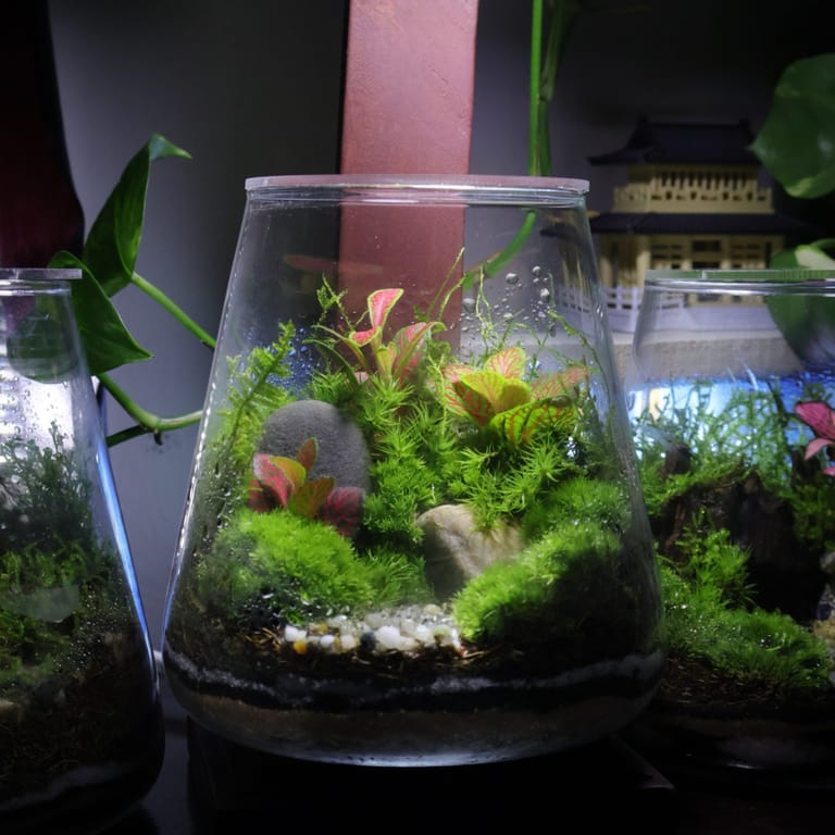 Moss Haven Mini Terrarium V1