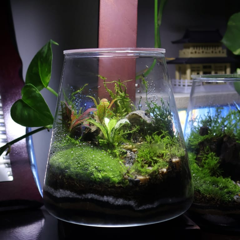 Moss Haven Mini Terrarium V3 - Image 1