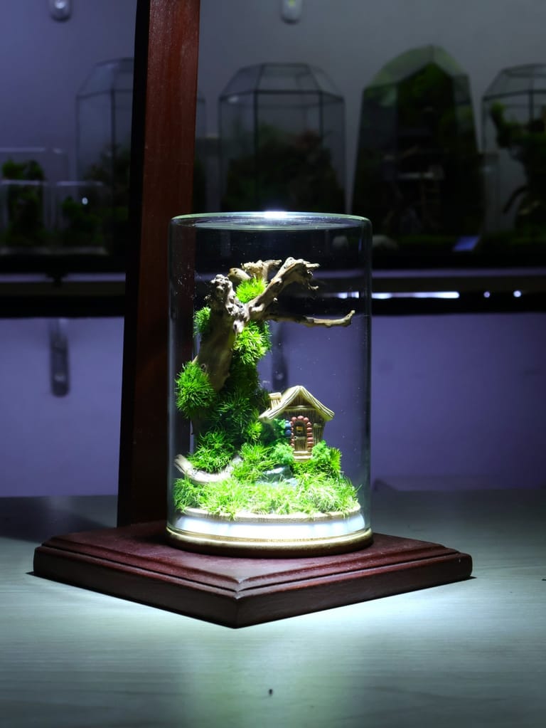 Upside Down Zero Moss Terrarium