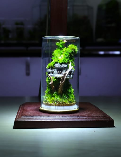 Upside Down Zero Terrarium
