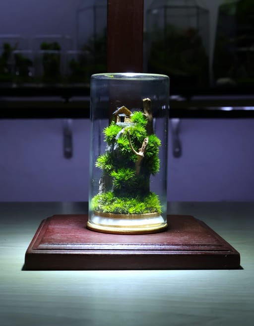 Upside Down Zero Terrarium