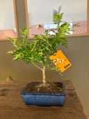 Photo 24634