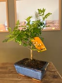 Photo 24635