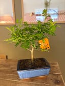 Photo 24637