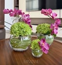 Photo 24648
