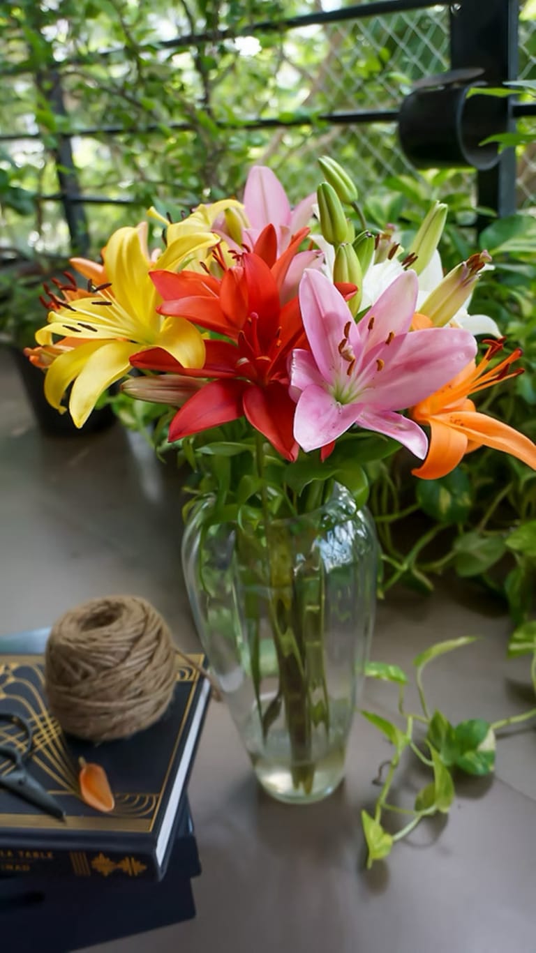 Asiatic Lilies - Image 2